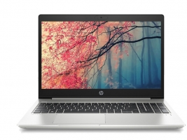HP ProBook 450 G7 i5-10210U like new