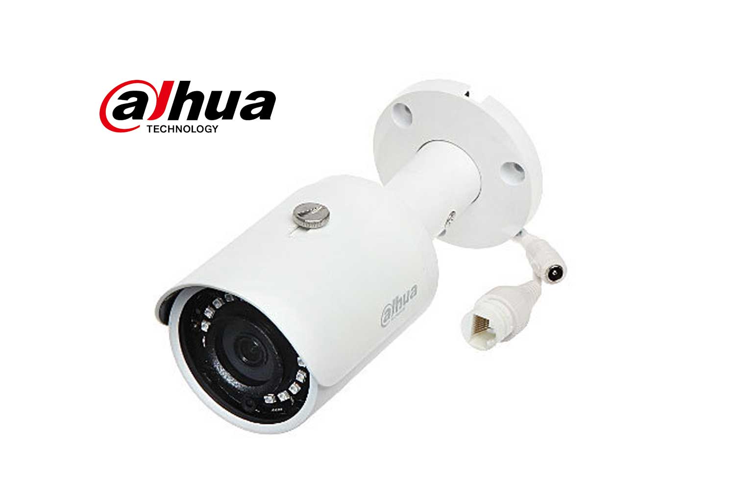 The Catcher in the Rye